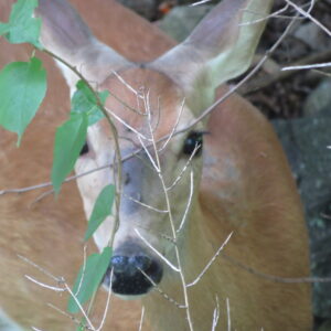 These sweet mornings